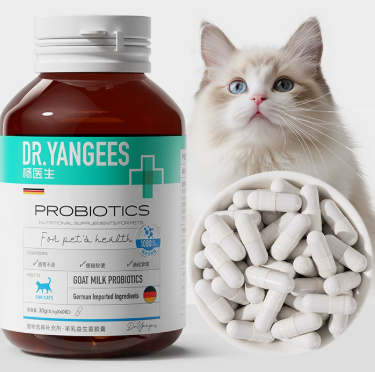 Senior pet health supplements