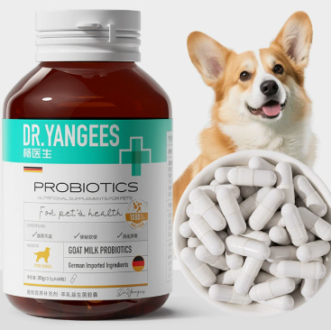 Senior pet health supplements