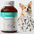 Senior pet health supplements