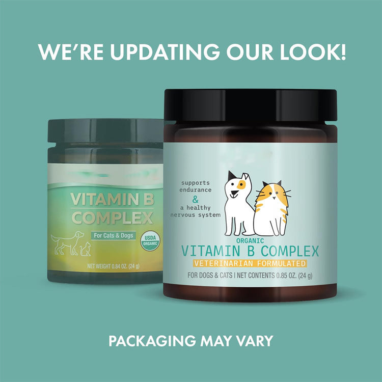 Vitamin B Complex Powder For Joint Health